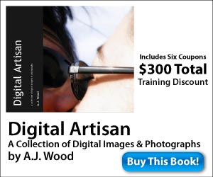 Get Training Discount Coupons in this Book!
