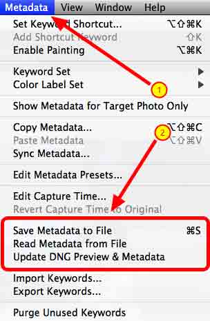 manually_write_metadata_to_images manually_write_metadata_to_images